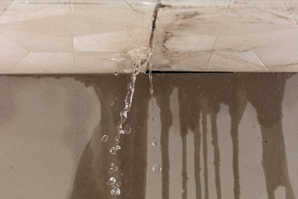 Professional Burst Pipe Cleanup technician working in Kamrar, IA